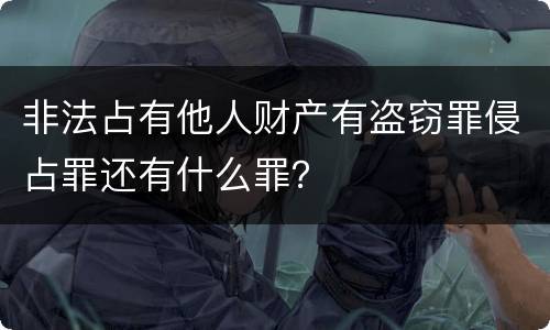 非法占有他人财产有盗窃罪侵占罪还有什么罪？