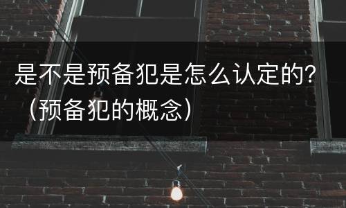 是不是预备犯是怎么认定的？（预备犯的概念）