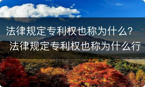 法律规定专利权也称为什么？ 法律规定专利权也称为什么行为