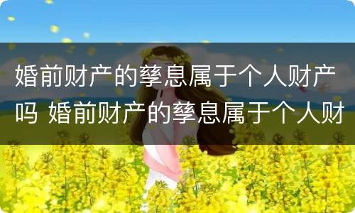 婚前财产的孳息属于个人财产吗 婚前财产的孳息属于个人财产吗为什么