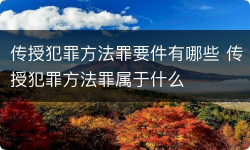 传授犯罪方法罪要件有哪些 传授犯罪方法罪属于什么