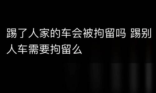 踢了人家的车会被拘留吗 踢别人车需要拘留么