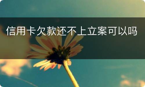 信用卡欠款还不上立案可以吗