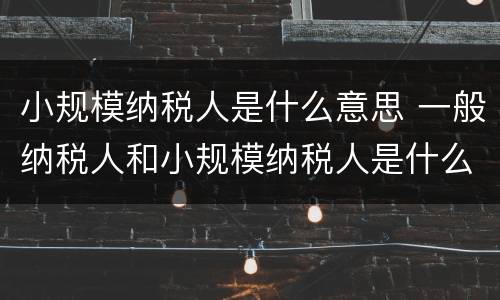 小规模纳税人是什么意思 一般纳税人和小规模纳税人是什么意思