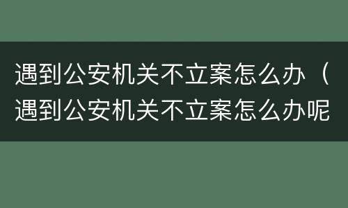 遇到公安机关不立案怎么办（遇到公安机关不立案怎么办呢）