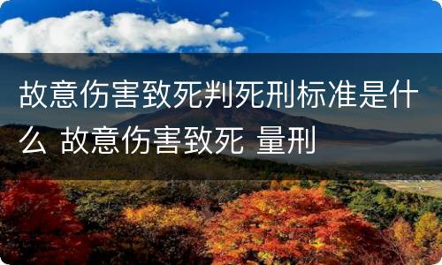 故意伤害致死判死刑标准是什么 故意伤害致死 量刑