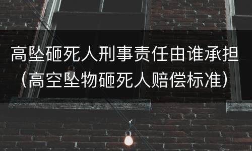 高坠砸死人刑事责任由谁承担（高空坠物砸死人赔偿标准）