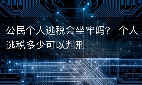 公民个人逃税会坐牢吗？ 个人逃税多少可以判刑