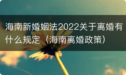 海南新婚姻法2022关于离婚有什么规定（海南离婚政策）