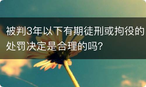 被判3年以下有期徒刑或拘役的处罚决定是合理的吗？