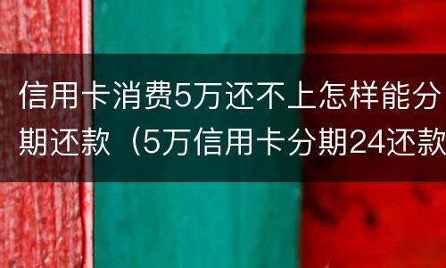 信用卡消费5万还不上怎样能分期还款（5万信用卡分期24还款方式）