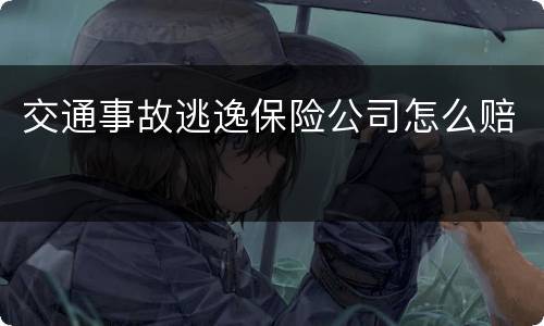 交通事故逃逸保险公司怎么赔