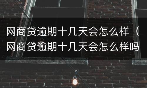 网商贷逾期十几天会怎么样（网商贷逾期十几天会怎么样吗）