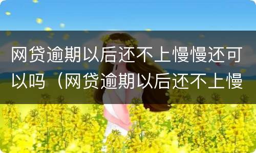 网贷逾期以后还不上慢慢还可以吗（网贷逾期以后还不上慢慢还可以吗）