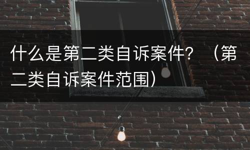 什么是第二类自诉案件？（第二类自诉案件范围）