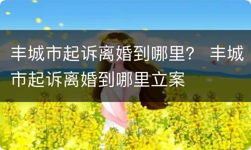 丰城市起诉离婚到哪里？ 丰城市起诉离婚到哪里立案