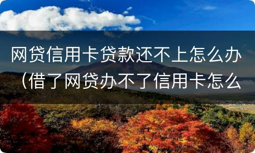 网贷信用卡贷款还不上怎么办（借了网贷办不了信用卡怎么办）