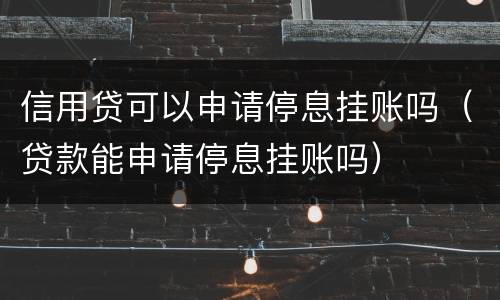 信用贷可以申请停息挂账吗（贷款能申请停息挂账吗）