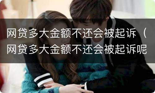 网贷多大金额不还会被起诉（网贷多大金额不还会被起诉呢）