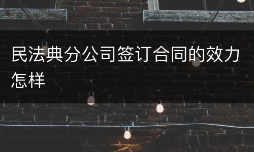 民法典分公司签订合同的效力怎样