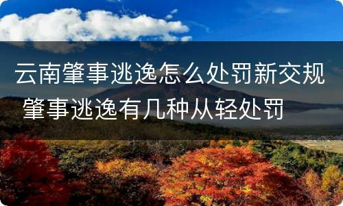 云南肇事逃逸怎么处罚新交规 肇事逃逸有几种从轻处罚