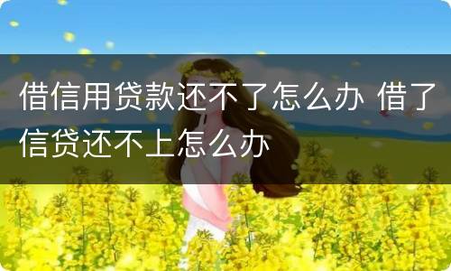 借信用贷款还不了怎么办 借了信贷还不上怎么办