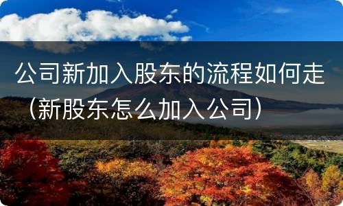 公司新加入股东的流程如何走（新股东怎么加入公司）