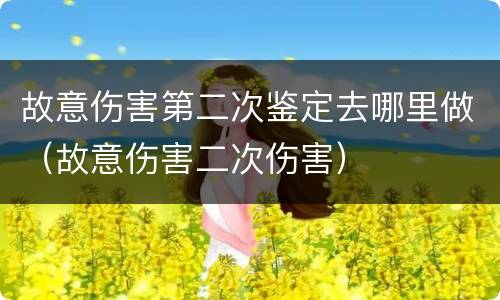 故意伤害第二次鉴定去哪里做（故意伤害二次伤害）