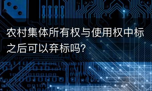 农村集体所有权与使用权中标之后可以弃标吗？