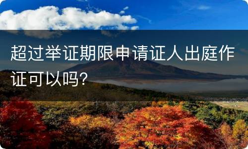 超过举证期限申请证人出庭作证可以吗？