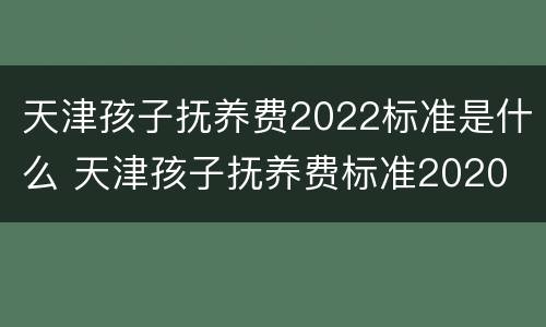 天津孩子抚养费2022标准是什么 天津孩子抚养费标准2020