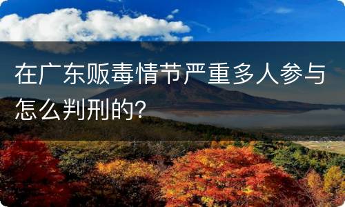 在广东贩毒情节严重多人参与怎么判刑的？