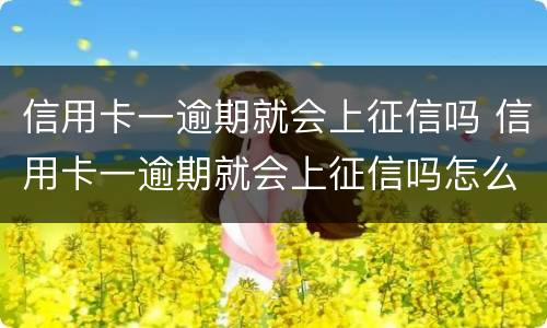 信用卡一逾期就会上征信吗 信用卡一逾期就会上征信吗怎么办
