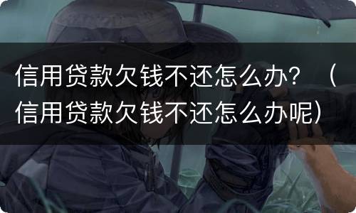 信用贷款欠钱不还怎么办？（信用贷款欠钱不还怎么办呢）