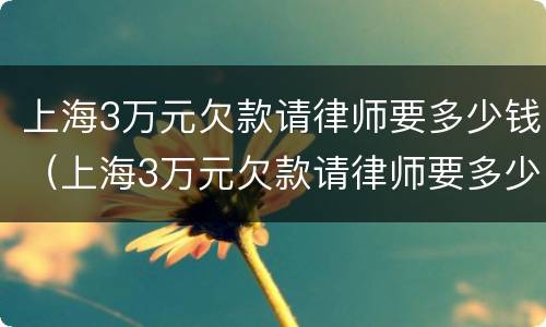 上海3万元欠款请律师要多少钱（上海3万元欠款请律师要多少钱费用）