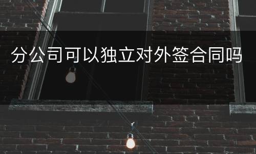 分公司可以独立对外签合同吗