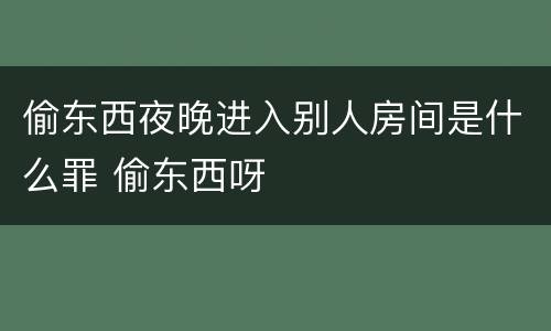 偷东西夜晚进入别人房间是什么罪 偷东西呀