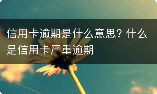 信用卡逾期是什么意思? 什么是信用卡严重逾期
