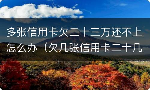 多张信用卡欠二十三万还不上怎么办（欠几张信用卡二十几万无能力还了怎么办）