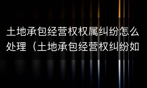 土地承包经营权权属纠纷怎么处理（土地承包经营权纠纷如何处理）