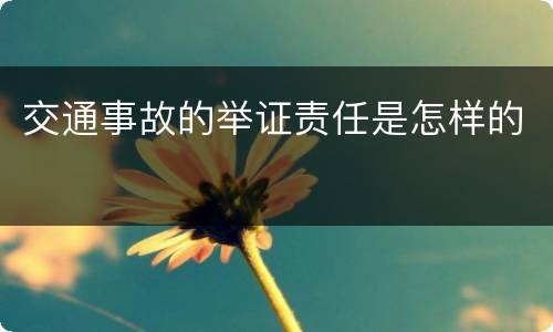 交通事故的举证责任是怎样的