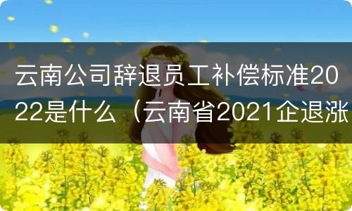 云南公司辞退员工补偿标准2022是什么（云南省2021企退涨工资标准）