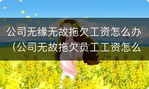公司无缘无故拖欠工资怎么办（公司无故拖欠员工工资怎么办）