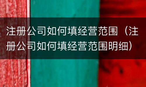注册公司如何填经营范围（注册公司如何填经营范围明细）