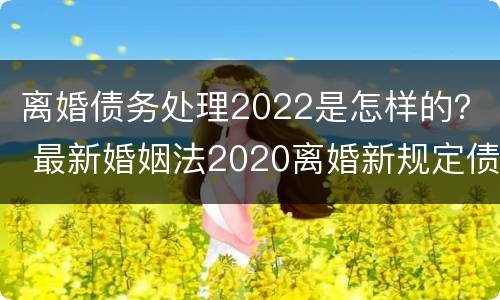 离婚债务处理2022是怎样的？ 最新婚姻法2020离婚新规定债务