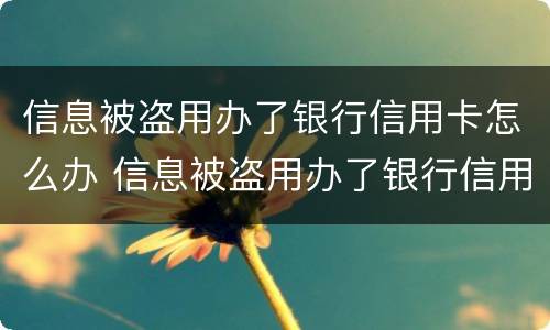 信息被盗用办了银行信用卡怎么办 信息被盗用办了银行信用卡怎么办理