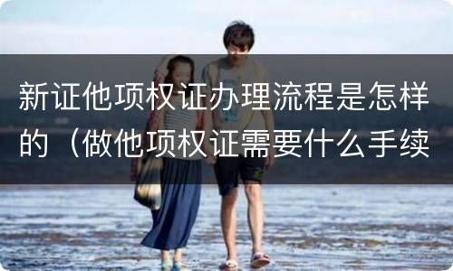 新证他项权证办理流程是怎样的（做他项权证需要什么手续）