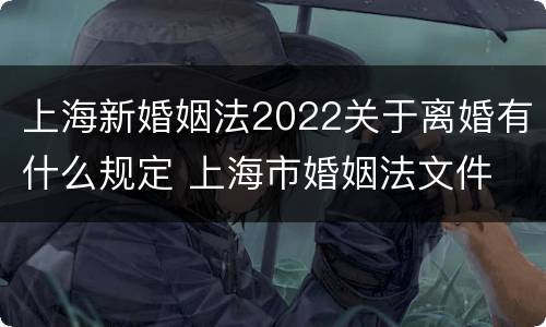 上海新婚姻法2022关于离婚有什么规定 上海市婚姻法文件