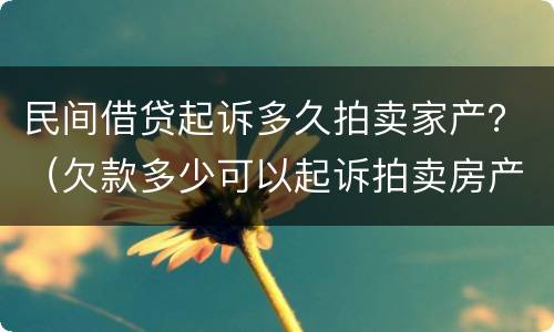 民间借贷起诉多久拍卖家产？（欠款多少可以起诉拍卖房产）