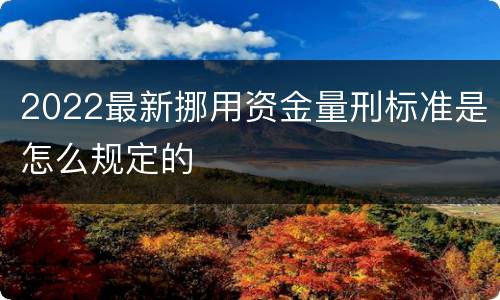 2022最新挪用资金量刑标准是怎么规定的